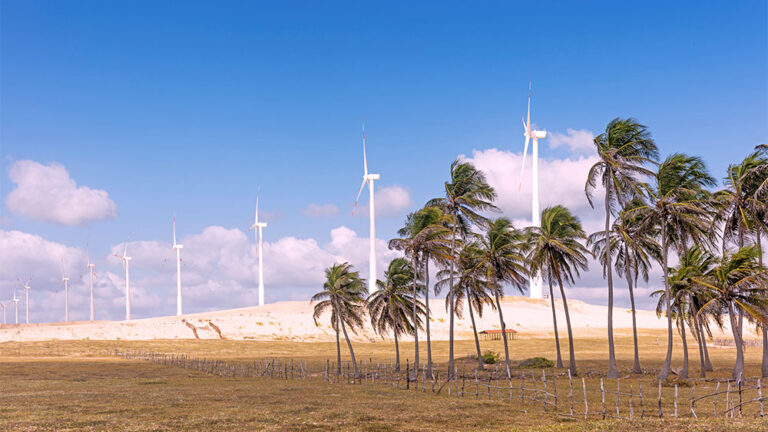 Parque eólico no Brasil com turbinas eólicas em meio a coqueiros, representando o avanço da energia limpa e sustentável no país.